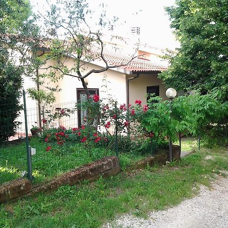 Agriturismo Norianino モンテメラノ エクステリア 写真