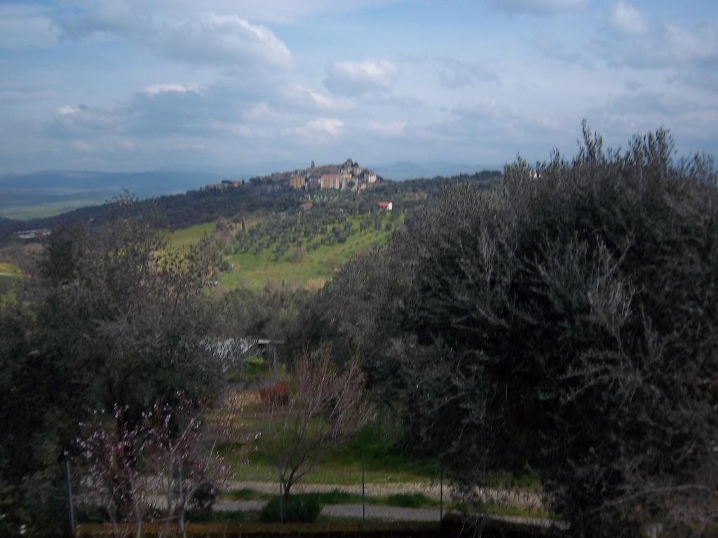 Agriturismo Norianino モンテメラノ エクステリア 写真