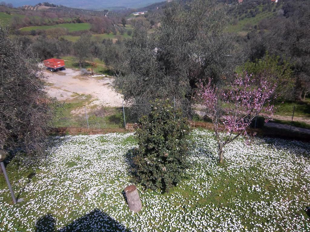 Agriturismo Norianino モンテメラノ エクステリア 写真