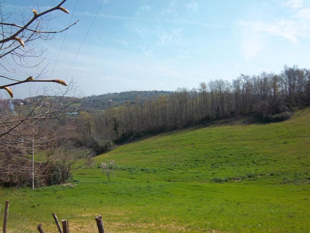 Agriturismo Norianino モンテメラノ エクステリア 写真