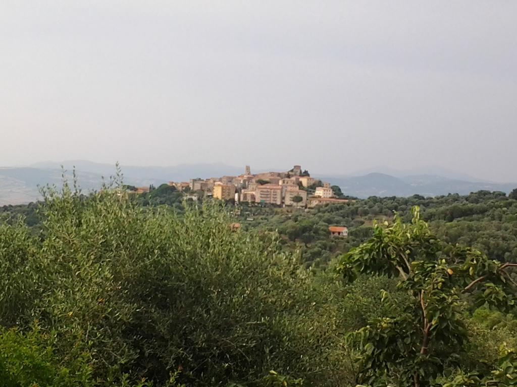 Agriturismo Norianino モンテメラノ エクステリア 写真