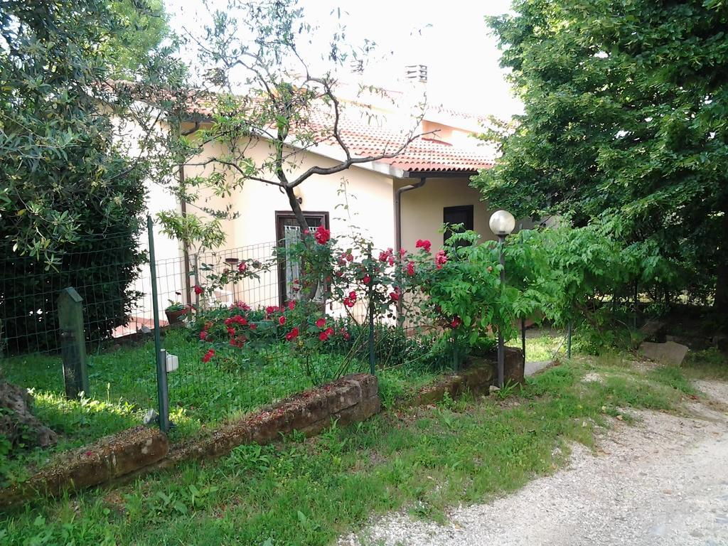 Agriturismo Norianino モンテメラノ エクステリア 写真