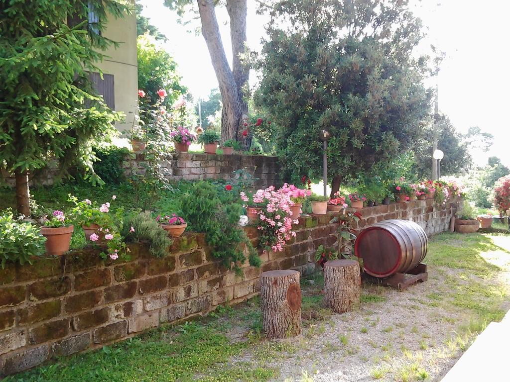 Agriturismo Norianino モンテメラノ エクステリア 写真
